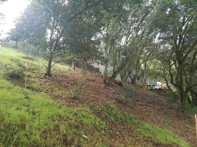 12 Vista Del Orinda, Orinda CA: https://media.crmls.org/mediaz/2686f9c4-a38d-42f1-954d-3b6f2def5d2e.jpg