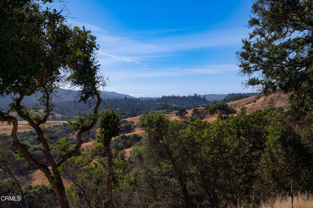https://media.crmls.org/mediaz/26952b38-8d71-4adc-abbf-aa4e13933d1f.jpg?preset=X-Large