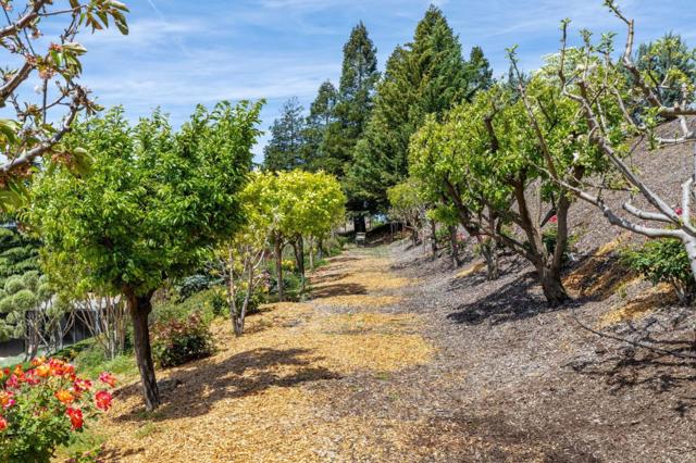 9540 Via Del Oro, Gilroy CA: https://media.crmls.org/mediaz/26a3f89f-bf5b-4838-b3be-6abd37ce5416.jpg