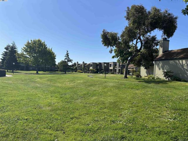 3521 Oleander, Alameda CA: https://media.crmls.org/mediaz/26a49a08-e34c-4ec4-a483-d6af93182419.jpg
