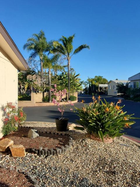 Detail Gallery Image 6 of 24 For 1333 Olive Dr #37,  Vista,  CA 92083 - 2 Beds | 2 Baths