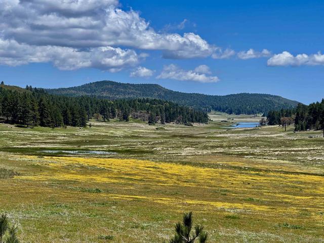 305 Los Huecos, Mount Laguna CA: https://media.crmls.org/mediaz/26bbecc2-a40d-4bb8-8448-d80196b26222.jpg