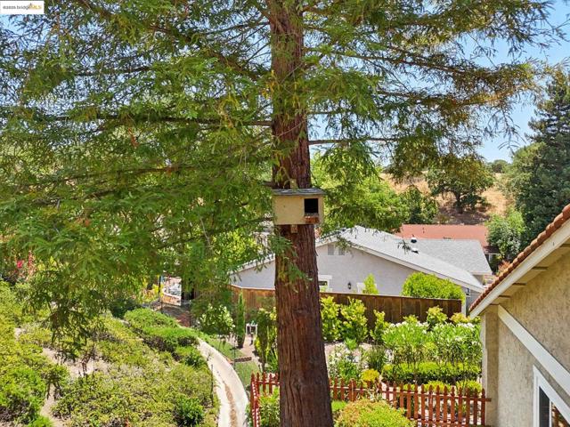 2353 Benham Ct, Walnut Creek CA: https://media.crmls.org/mediaz/26bf5935-034b-47e3-a661-69a01d0faa56.jpg