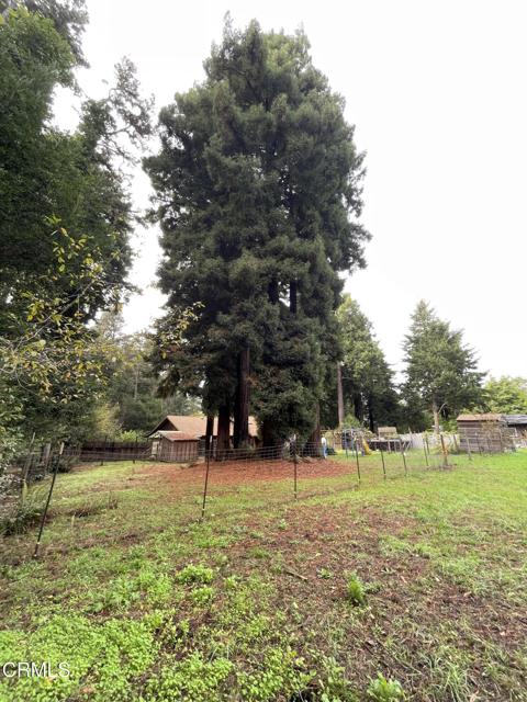 Detail Gallery Image 47 of 70 For 14875 Atkins Way, Fort Bragg,  CA 95437 - 3 Beds | 2 Baths