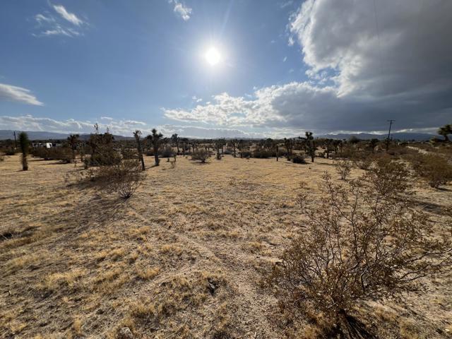 0 Campanula Street, Yucca Valley CA: https://media.crmls.org/mediaz/26db5f35-ac7d-44b8-95c6-183641f4269d.jpg