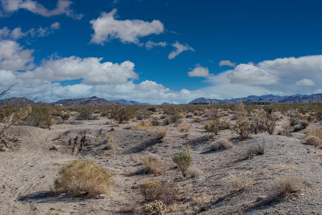 MLS #219131400PS image #10