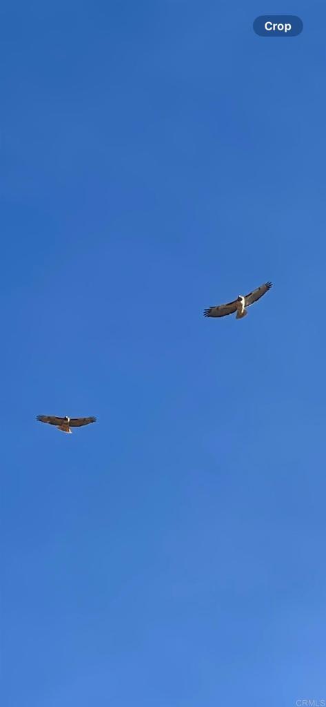 MLS #NDP2410465 image #32