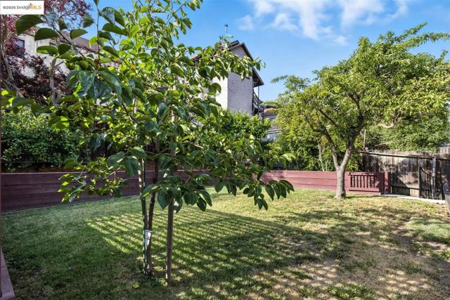 61 Wildwood Ave, Piedmont CA: https://media.crmls.org/mediaz/26e93a00-81dc-4a57-b3c9-5df4ee5fe40b.jpg