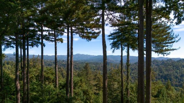 60 Highgate Road, Scotts Valley CA: https://media.crmls.org/mediaz/26eba389-562f-43f9-b124-db8cf84f7bb7.jpg