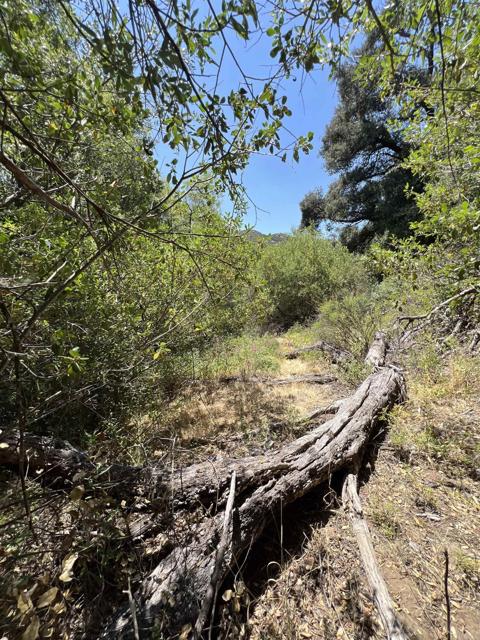 Detail Gallery Image 12 of 17 For Riverside Dr, Descanso,  CA 91916 - – Beds | – Baths