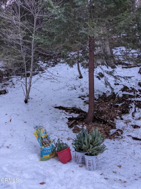 Detail Gallery Image 6 of 14 For 0 Fleming Creek, Lake Arrowhead,  CA 92352 - – Beds | – Baths