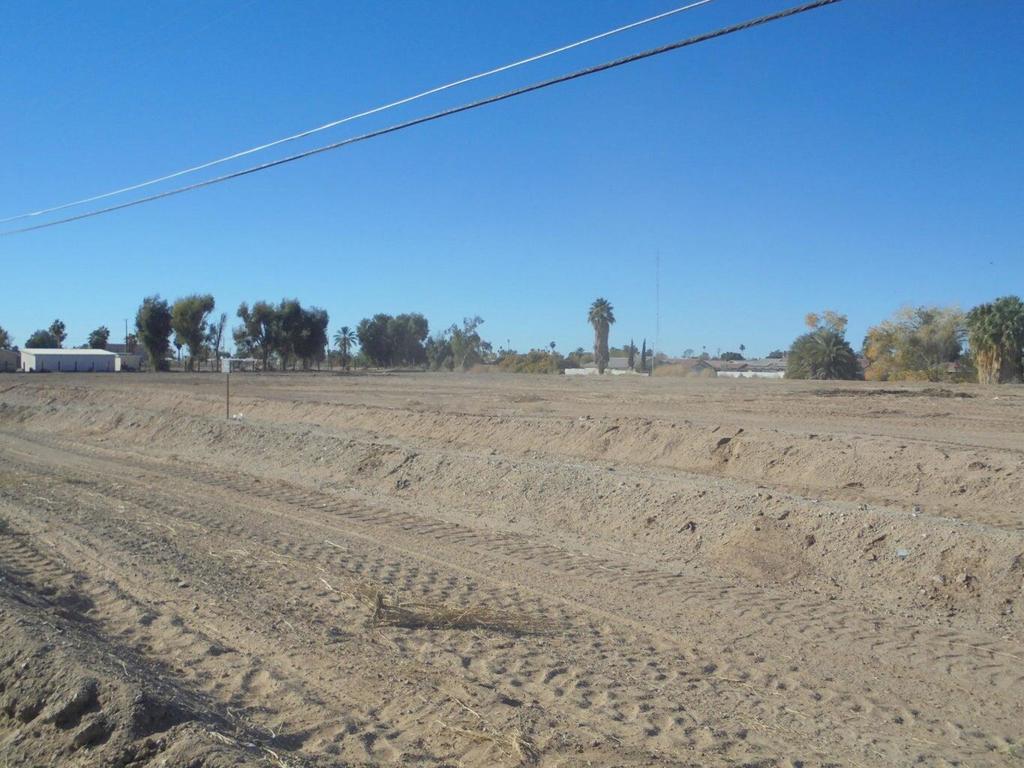 MLS #219134316DA image #6