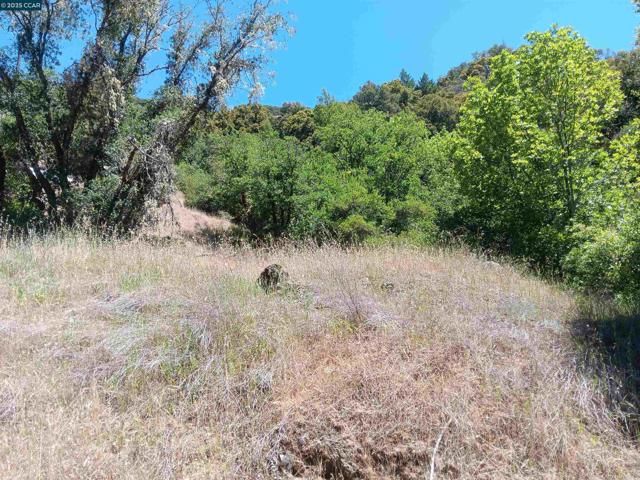 55855 Highway 101, Laytonville CA: https://media.crmls.org/mediaz/270b1f1a-cb9f-4e36-8a8d-6ff38aa02efe.jpg