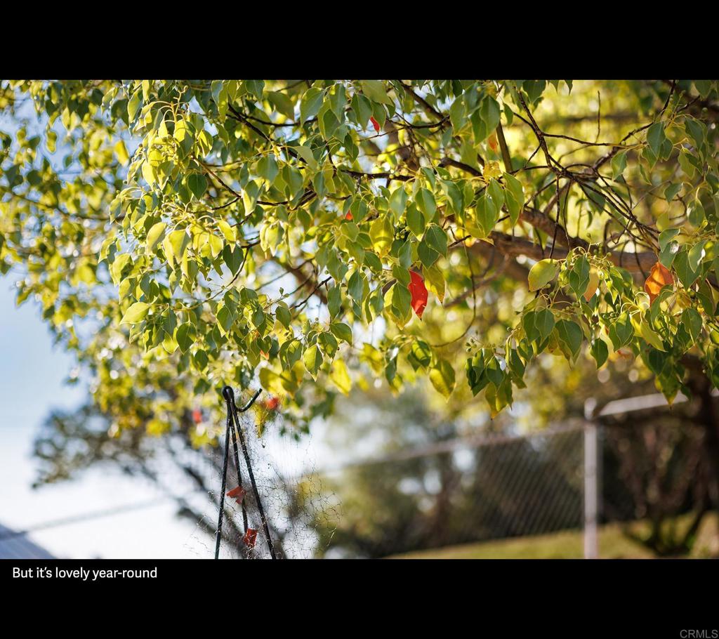 https://media.crmls.org/mediaz/271a39fc-4a37-4b98-bc03-ae802a46a2f6.jpg?preset=X-Large