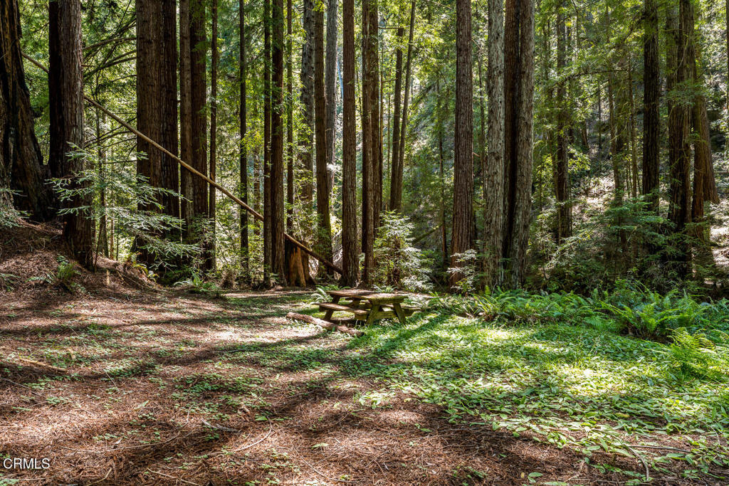 https://media.crmls.org/mediaz/271b90c1-50df-46d4-a681-0996cdc511d2.jpg?preset=X-Large