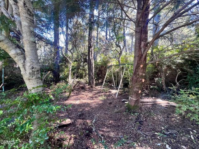 Detail Gallery Image 59 of 65 For 18751 Sears Ln, Fort Bragg,  CA 95437 - 2 Beds | 2 Baths