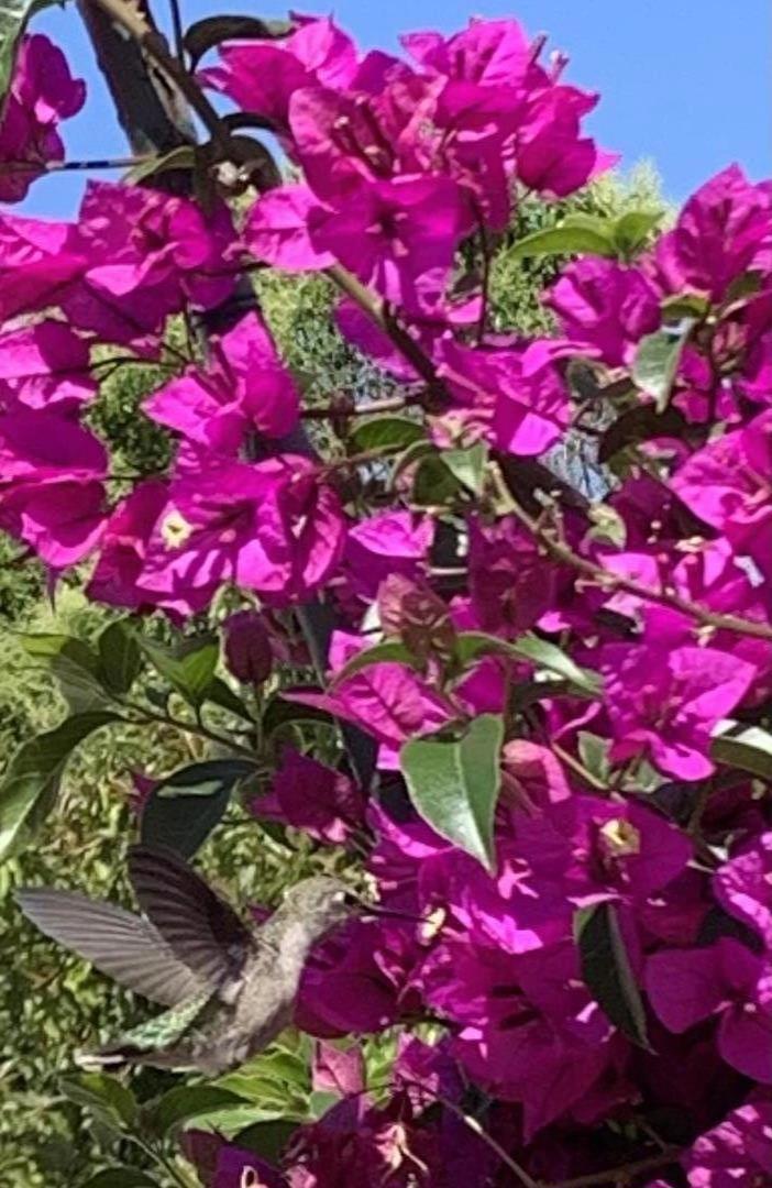 https://media.crmls.org/mediaz/27209790-3060-4e42-82dd-5ada82c38a09.jpg?preset=X-Large