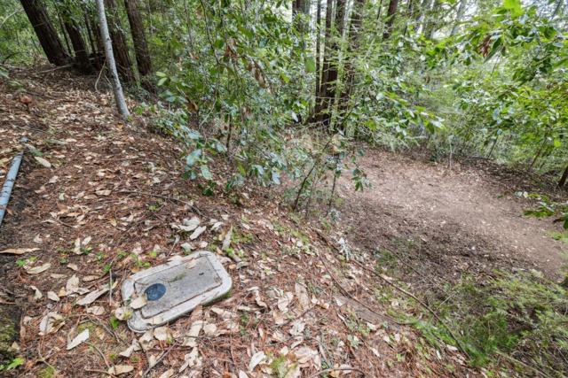 1365 Caledonia Avenue, Ben Lomond CA: https://media.crmls.org/mediaz/2728bec1-701f-48d5-8d1f-07f8834ea98a.jpg