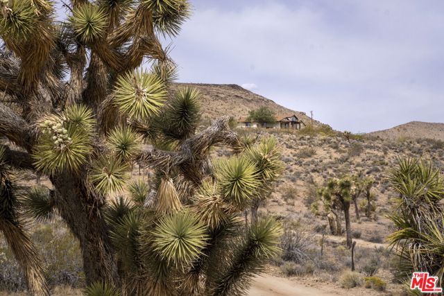 2339 Inca Trail, Yucca Valley CA: https://media.crmls.org/mediaz/27317939-46b9-43d5-86f1-7db8daacb76b.jpg
