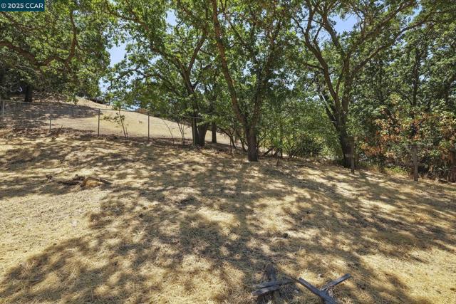71 Maple Ln, Walnut Creek CA: https://media.crmls.org/mediaz/27375624-189d-4be5-9fff-02050ace8d50.jpg