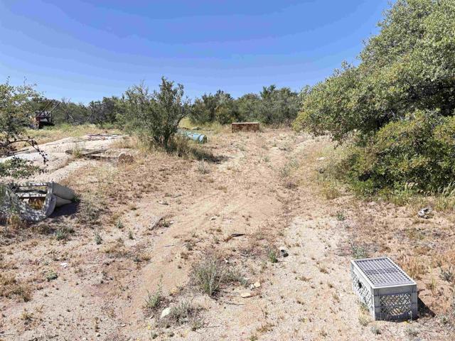 Image 4 of 10 For 38430 Lilac Ln.