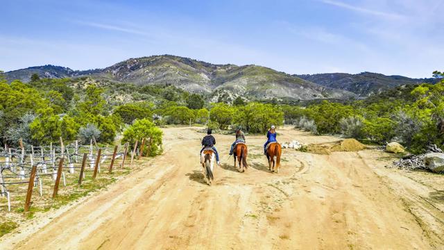 Detail Gallery Image 24 of 39 For 36719 Equiestrian, Anza,  CA 92539 - 3 Beds | 2 Baths