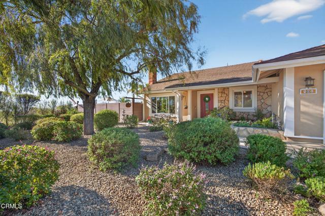 Front Image Thumbnail for CRV1-33670