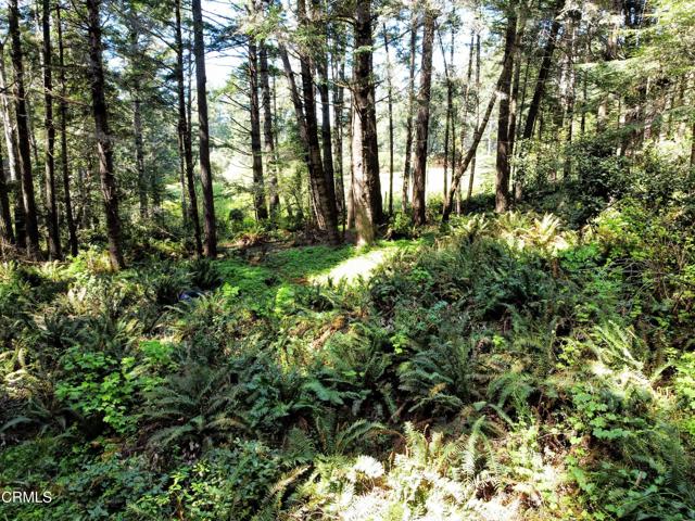 Detail Gallery Image 15 of 23 For 44551 Raven Ln, Mendocino,  CA 95460 - – Beds | – Baths