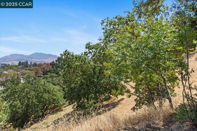 491 Camelback Rd, Pleasant Hill CA: https://media.crmls.org/mediaz/274830cf-d190-438d-b30c-ea5ba4bfa209.jpg