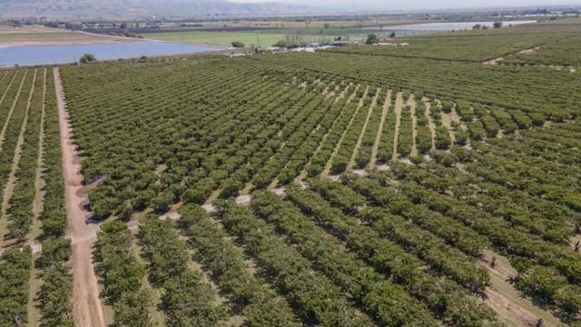 275 Bolsa Road, Gilroy CA: https://media.crmls.org/mediaz/27492227-eb15-4b08-93a6-df939a53f832.jpg