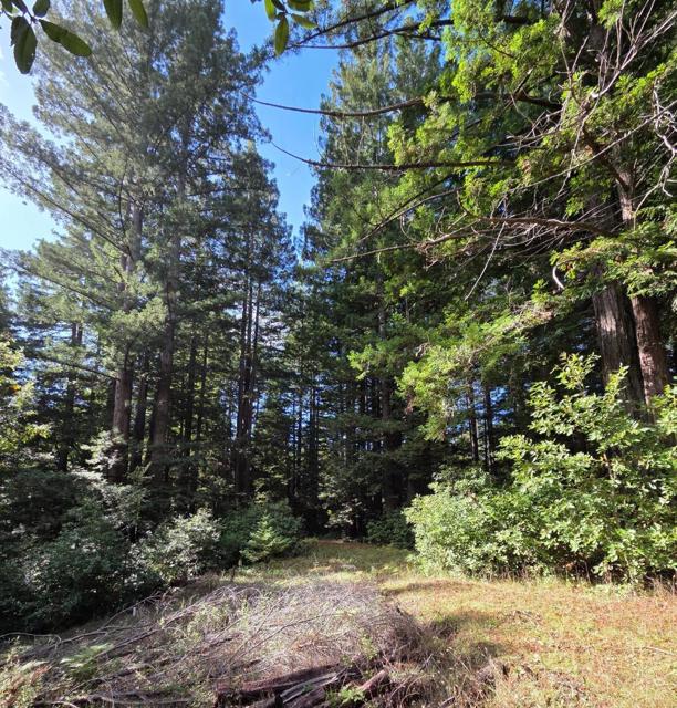 1140 Warren Drive, Santa Cruz CA: https://media.crmls.org/mediaz/274c2b27-bc4a-4841-ace3-7e2da39a1f25.jpg