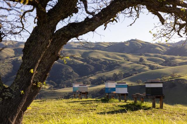 Image 4 of 41 For 28000 Underwood Road