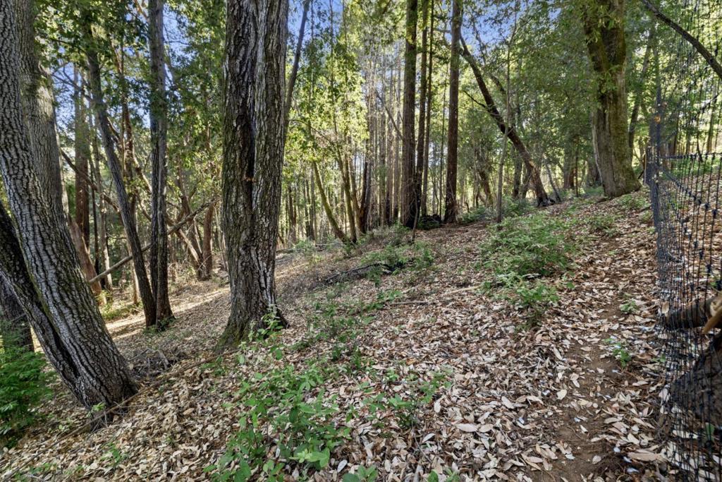 MLS #ML81986063 image #10