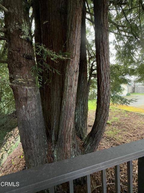 596 S Sanderson Way, Fort Bragg CA: https://media.crmls.org/mediaz/27557874-ffd5-4eb5-87f0-3f876e08fe8d.jpg