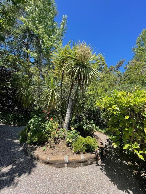 843 Sonoma Terrace, Stanford CA: https://media.crmls.org/mediaz/2759c3f8-e7e8-4a2b-b64e-f5759e76c34e.jpg