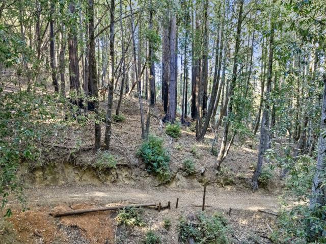 0 Western, Brookdale CA: https://media.crmls.org/mediaz/275f43d8-9b47-4ebe-b126-c333209daaca.jpg