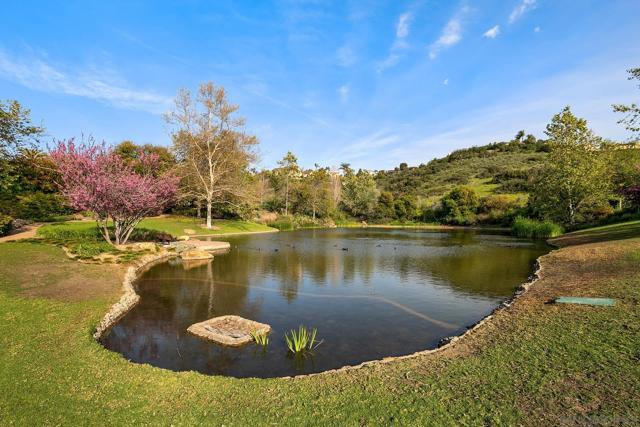 6911 Goldstone Rd, Carlsbad CA: https://media.crmls.org/mediaz/275f62e1-66e1-439c-8e55-f02ef3001971.jpg