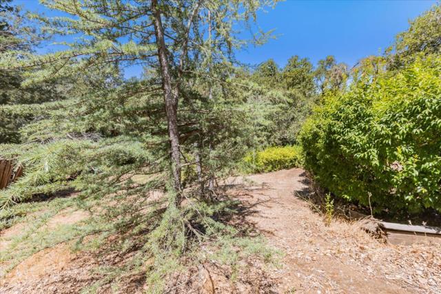Image 48 of 69 For 5824 Arboretum Drive