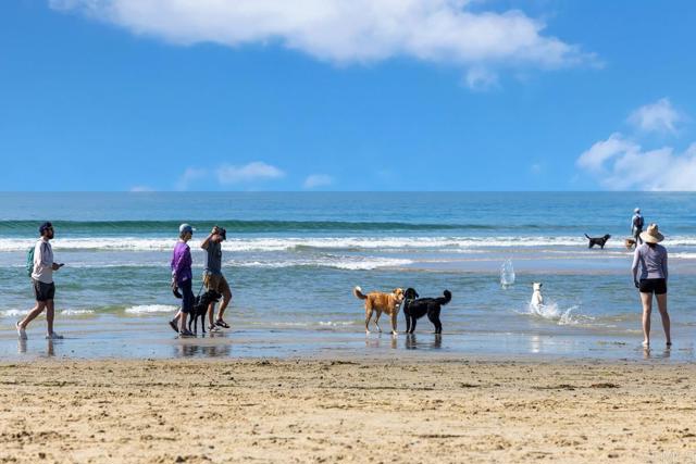 Detail Gallery Image 38 of 43 For 2541 Delphinium Ln, Carlsbad,  CA 92008 - 3 Beds | 2/2 Baths