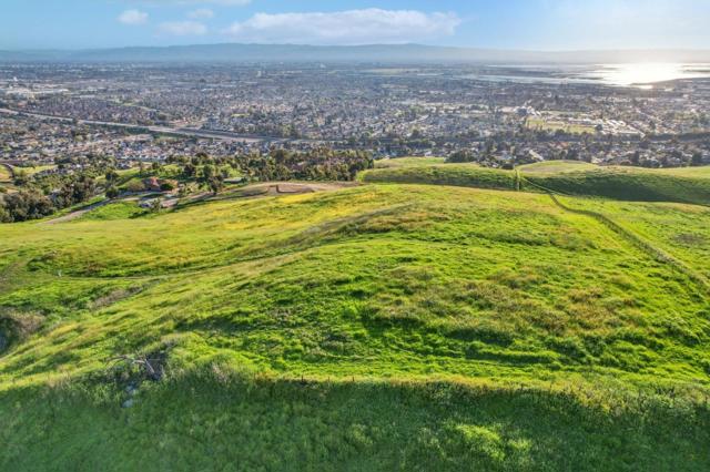 1339 Terra Vista Court, Milpitas CA: https://media.crmls.org/mediaz/2784e8f8-5812-4e84-b902-c1d2d60824a1.jpg