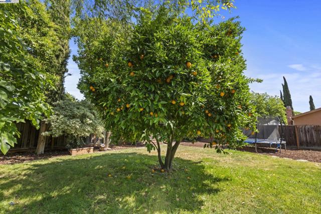 771 Hagemann Dr, Livermore CA: https://media.crmls.org/mediaz/278c67d5-e840-441d-9110-c43dc4184f36.jpg