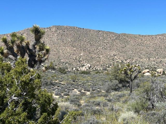 Image 16 of 26 For 101 Hondo Street