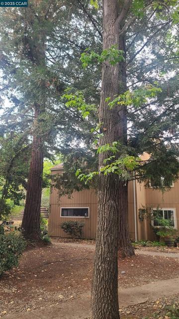 7977 Arcade Lake Ln, Citrus Heights CA: https://media.crmls.org/mediaz/278f5a53-3097-43df-8bc1-c9e1a5b66ede.jpg