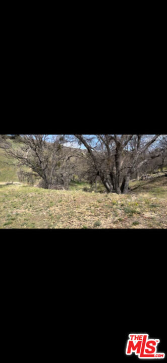 MLS #25568945 img 19