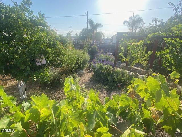 127 Miller Lane, Santa Paula CA: https://media.crmls.org/mediaz/279deac2-1129-414b-ba89-617207770549.jpg