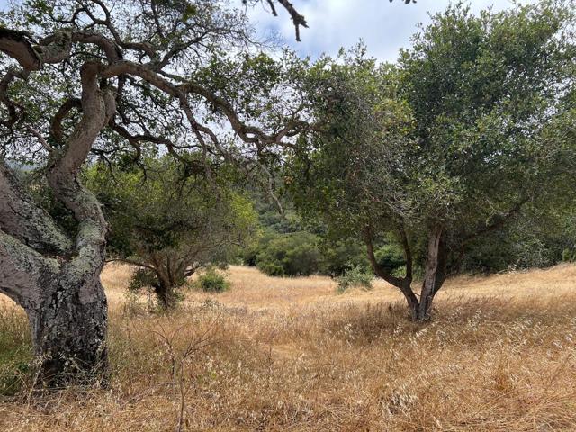 3230 Hillman Lane, Royal Oaks CA: https://media.crmls.org/mediaz/27b99f1a-4a2a-49ab-a594-35f40f8edfde.jpg