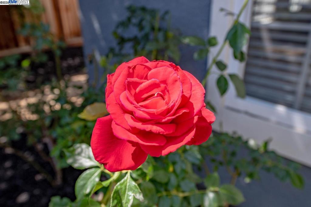 https://media.crmls.org/mediaz/27c12dbb-2169-4f9a-a4ed-162ac0afdc3c.jpg?preset=X-Large
