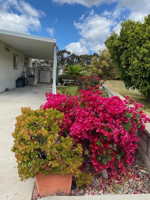 Detail Gallery Image 34 of 47 For 1815 Sweetwater Rd #155,  Spring Valley,  CA 91977 - 3 Beds | 2 Baths