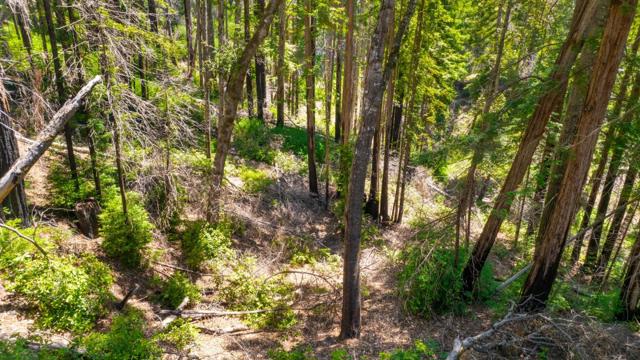 3 Bloom Grade, Boulder Creek CA: https://media.crmls.org/mediaz/27d32d85-6743-45fc-98d3-cb915c4b070e.jpg