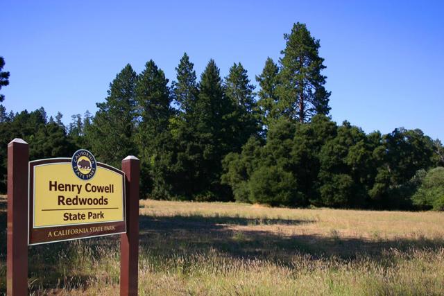 1151 Lakeside Drive, Felton CA: https://media.crmls.org/mediaz/27d373d4-fd4e-4cf0-8759-fe3984720576.jpg